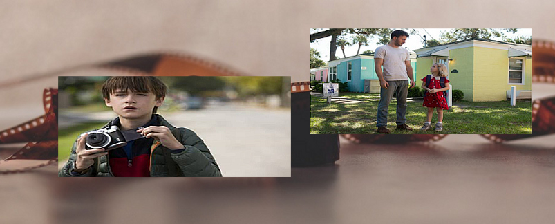 close-up-1850277_960_720