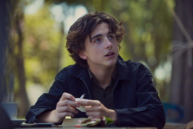 lady-bird-mit-timothee-chalamet