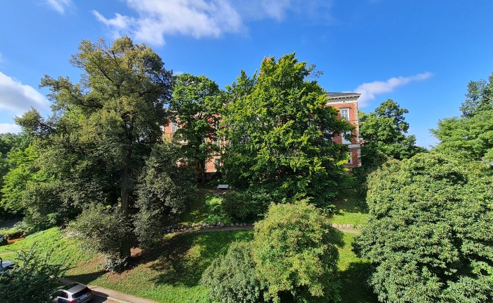 Ich bin zurück. Doch warum war ich&nbsp;weg?