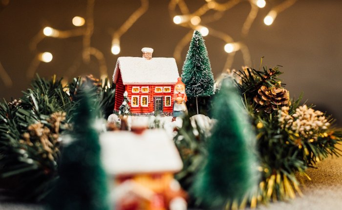 Der Weihnachtskalender 2021: Special Interest Vol.&nbsp;1